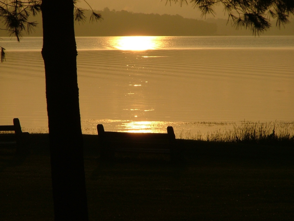 cabin, sunrise, lake, benches, JUne 27th, 2013 010