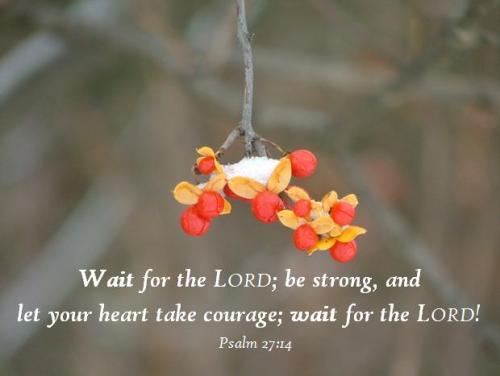 Wait;Psalm 27;14